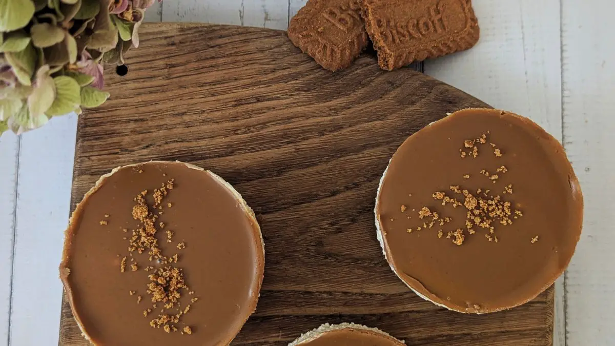 Cheesecake spéculoos sans cuisson : recette facile et rapide